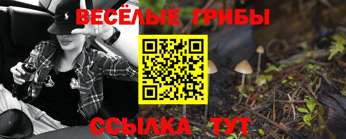 Южноуральск  Псилоцибиновые грибы мицелий  Вход с VPN 