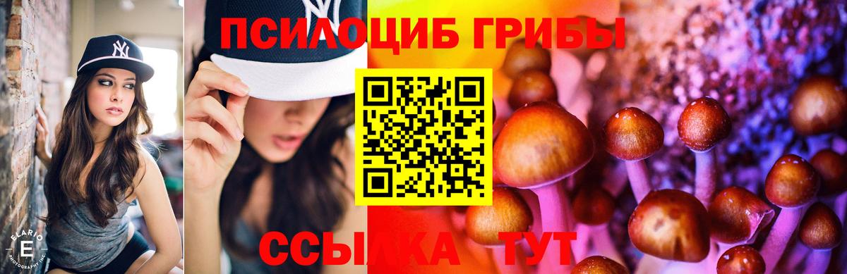 Галлюциногенные грибы Psilocybe Южноуральск